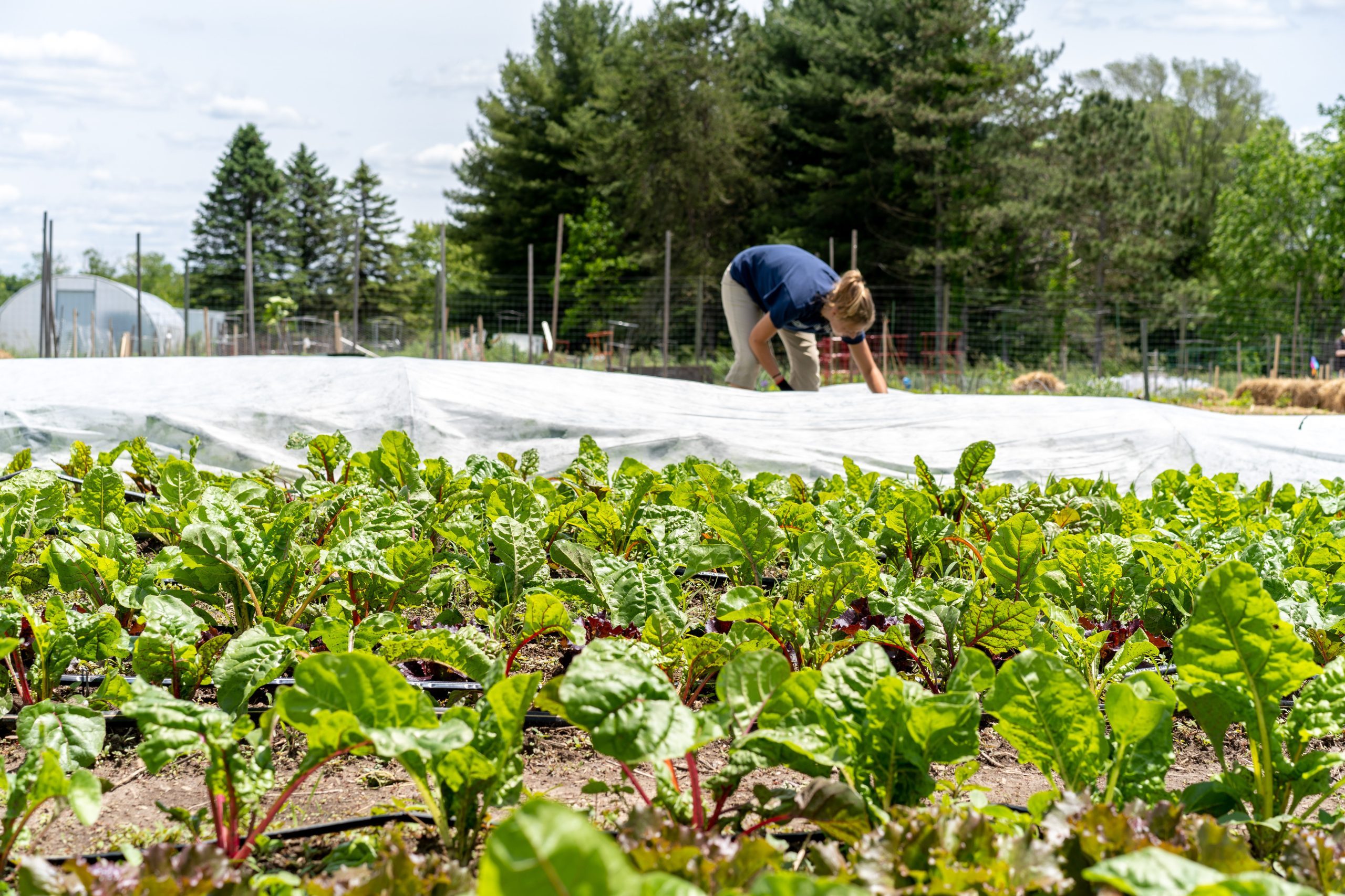 Campus Farm